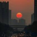 用户57615543的头像-逸云源码网