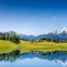 Mr刘的头像-逸云源码网