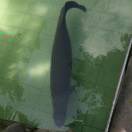 急着见你呢的头像-逸云源码网